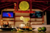 Margaritaville Beach Resort Playa Flamingo - bar