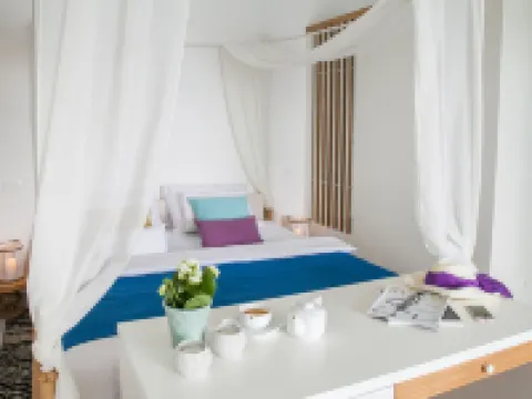 Boutique Hotel and Spa Blanc & Bleu - Blanche Hotels in Bijela