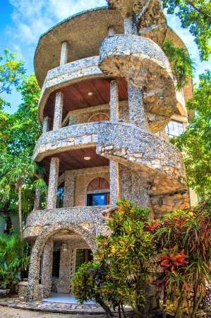 Coconut Tree West Bay