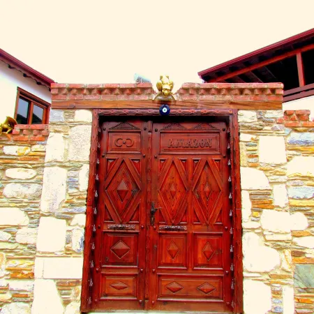 Amazon Petite Palace