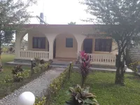 Hotel Tress House Hotels near Chitwan Jungle Safari