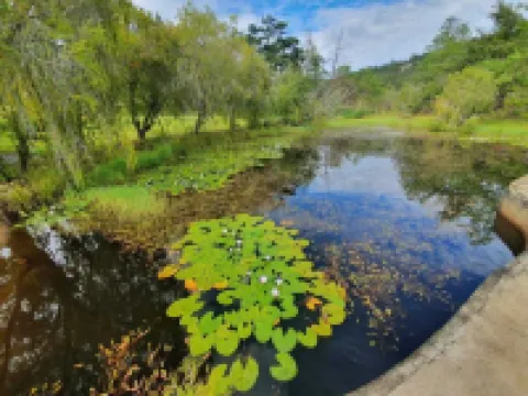 另一個度假屋 尼揚加酒店
