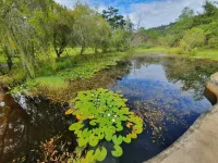 Another Holiday Home