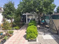 Tolga Pansiyon Hotels in Dalyan