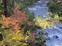 Union Creek Resort Hotels in Prospect