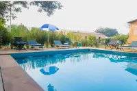 Jungle Book - A Nature Escape