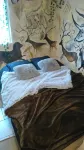 Cottage with jacuzzi year-round and swimming pool in summer located 12 KM from Sarlat