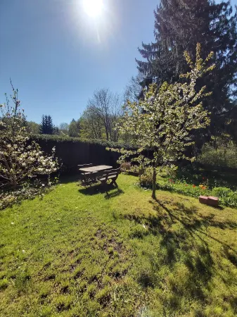 Apartment 1 in the old forester directly on the Bode, the Harz Witches