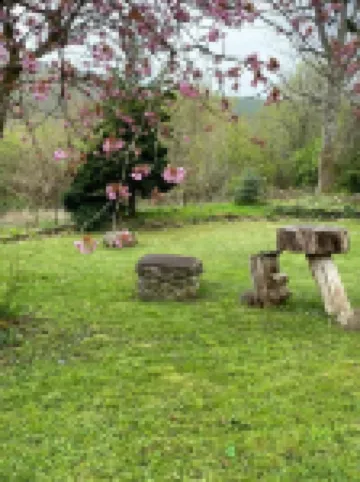 Family holiday, meeting with friends, enjoying the garden