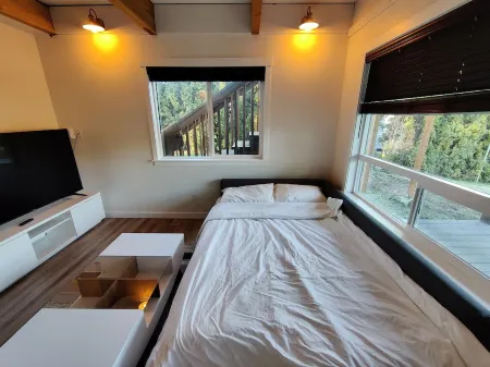 Lakefront Cottage Near Crystal Mountain & Rainier