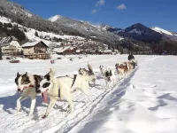 6 Pers Cosy apartment  with suny South view close ski slopes and the river