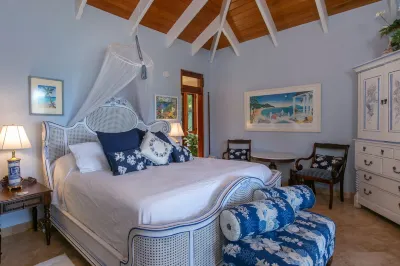 Villa Delfina- 4 min walk to Private Peter Bay Beach! 5 Bedroom Villa with pool. Hotels near Trunk Bay