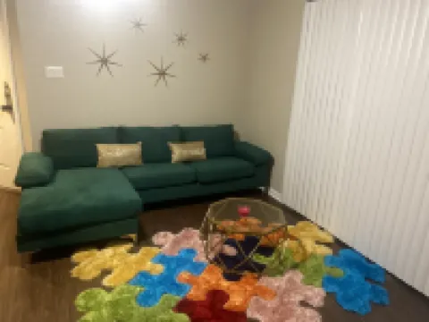 Big 1 bedroom in Houston