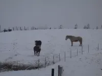 A little piece of heaven