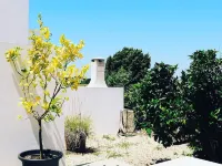 Funky cottage for 2, patio, garden, mountainview. Coast 14 km. Rota Vicentina. Hotels in Cercal do Alentejo