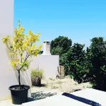 Funky cottage for 2, patio, garden, mountainview. Coast 14 km. Rota Vicentina. Hotels in Cercal do Alentejo