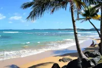 Comfortable, Great Location, Close to Beach + Rainforest, Family/Friend Getaway