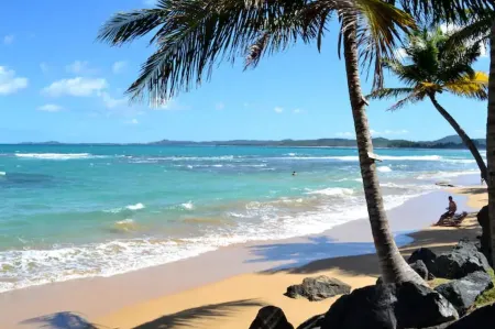 Comfortable, Great Location, Close to Beach + Rainforest, Family/Friend Getaway