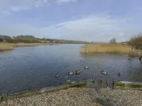 2 Bayview Hotels in Stokenham