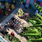 Creole Gardens Guesthouse and Inn Hotels in Lower Garden District