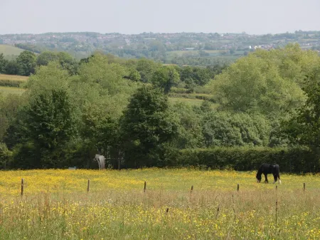 Just A Cottage, Newlands Farm Отели в г. Риддингс