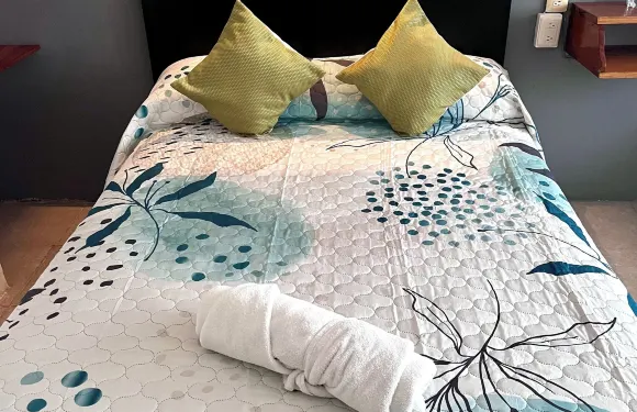 拉斯布里薩斯酒店