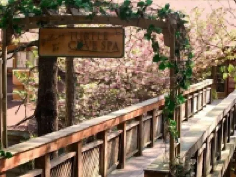 Forest View, Log-Sided Two Bedroom, Two Bath Condo on Lake Ouachita. 2 Condo by Redawning Hotels in Mount Ida