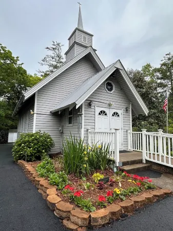 Cozy Cabin and Fall Leaves!  Swim, Horses, Hiking, Lake-3 mi from Helen! Relax!