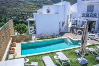 Anemomiloi Andros Boutique Hotel - Pools