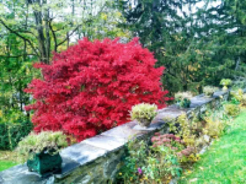 ウィスラーズ イン ベッド & ブレックファースト