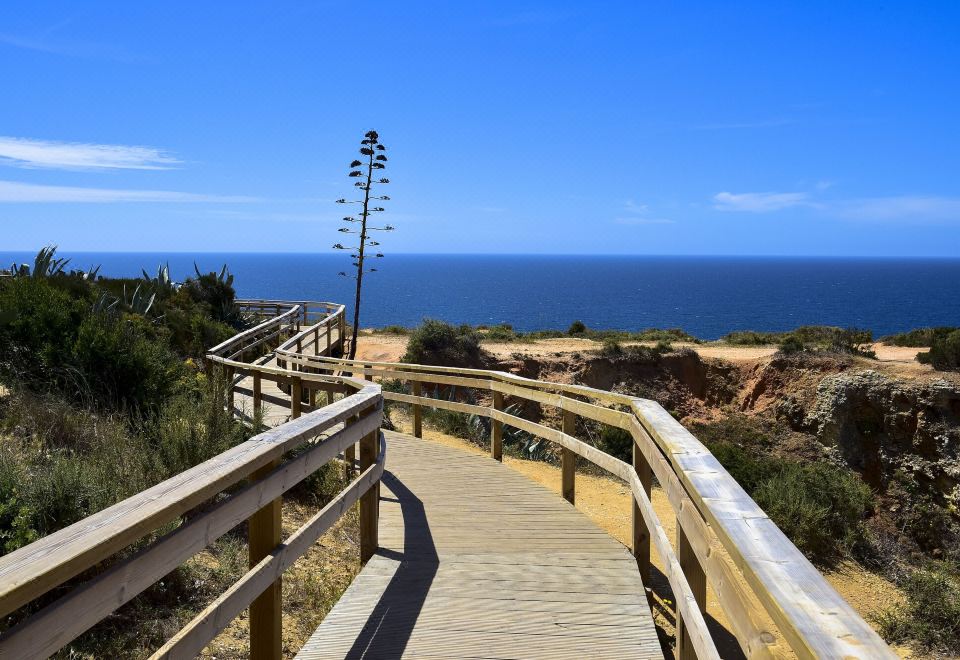 2. 아쿠아루즈 라구..