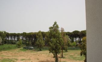 Levante