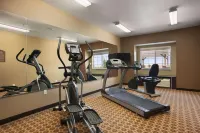 Microtel Inn & Suites by Wyndham Pecos - Gym