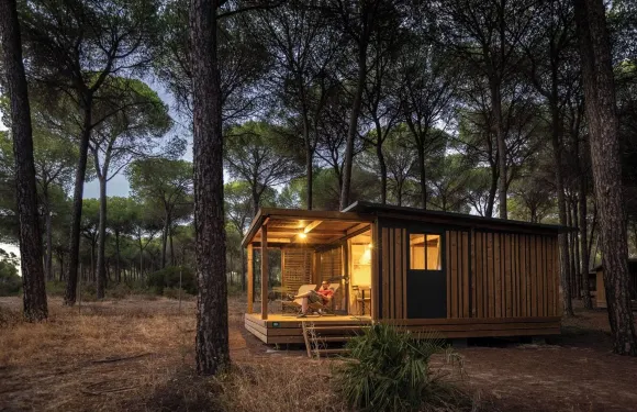 多尼亞納公園的胡託皮亞