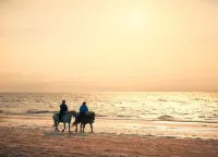 Luxury Apartment in Renesse with Infrared Sauna
