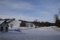 Ski In & Ski Out - Boyneland Lift Hotels in Boyne Valley Township