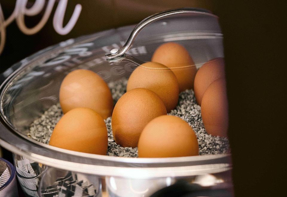 호텔 객실 사진