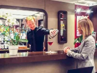 Hôtel Mercure Angers Centre Gare - bar