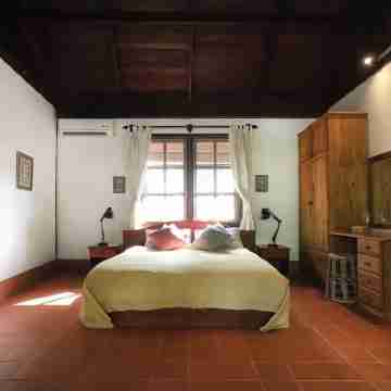 Jungle House - Cottage dinner/b&b Rooms