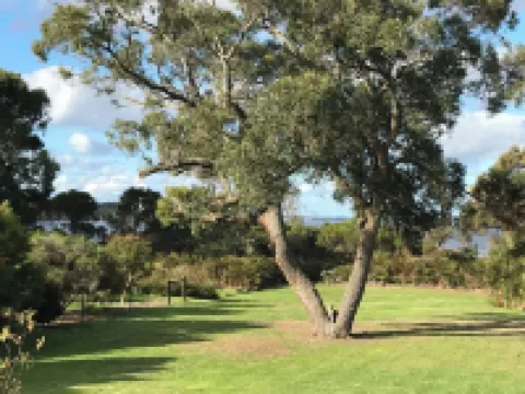 Cedar Cottage inlet frontage - midway between Denmark townsite and Ocean Beach 丹麥酒店