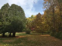 Adorable Saratoga track, SPAC, Skidmore short term rental. Hotels in Greenfield