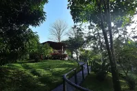 Rainforest Sanctuary - Cabin by a River
