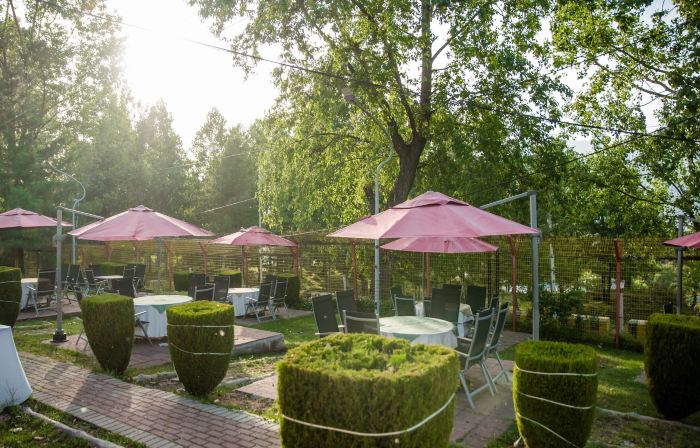 Chinar Family Resort