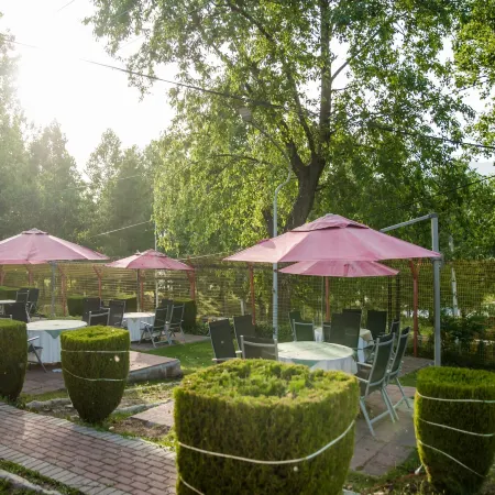 Chinar Family Resort