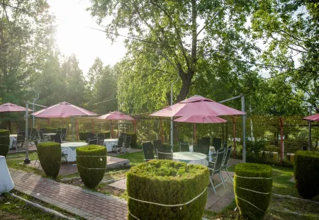 Chinar Family Resort