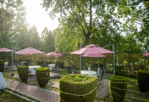 Chinar Family Resort Hotels in Murree Tehsil