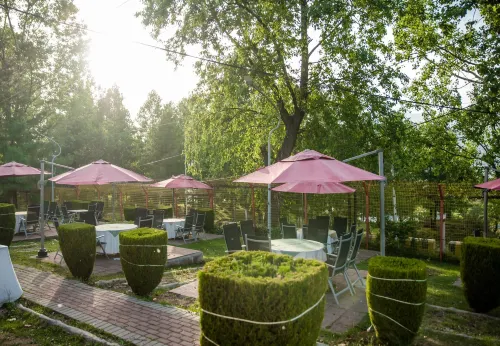 Chinar Family Resort