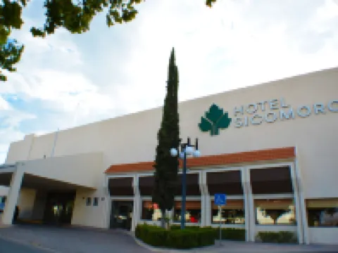 Hotel Sicomoro โรงแรมในชีวาวา