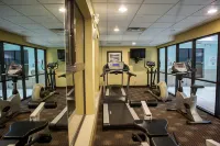 Holiday Inn Express & Suites CANTON by IHG - Gym