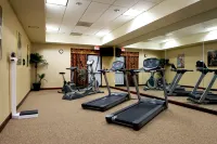 Holiday Inn Express & Suites DALLAS FT. WORTH AIRPORT SOUTH by IHG - Gym